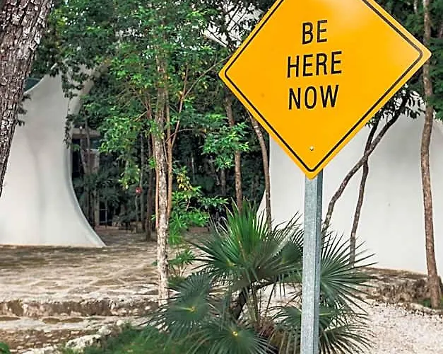 Holistika Hotel Tulum