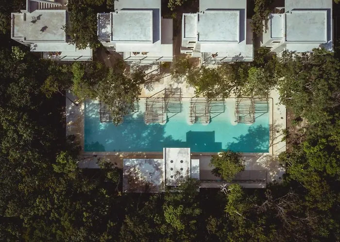 Holistika Tulum